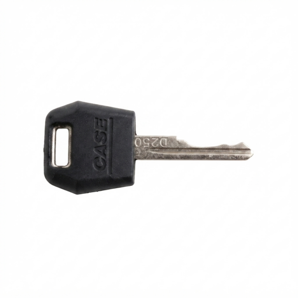 1964831C2 : Llave de Encendido Maquinaria Case y New Holland